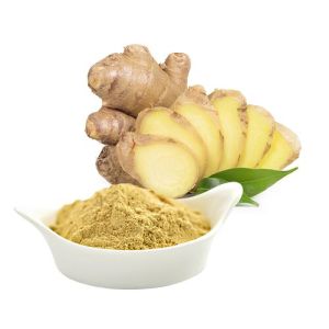 ginger dry extract