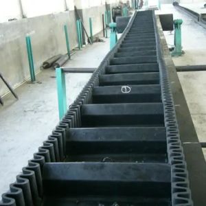 Sidewall Belt Conveyors