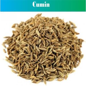 Cumin Seeds