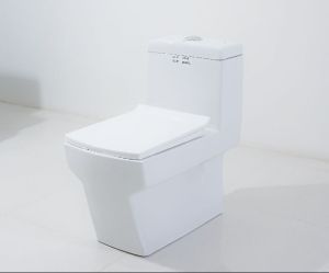 Middle East Vitreous Anglo Indian Design Sink Toilet