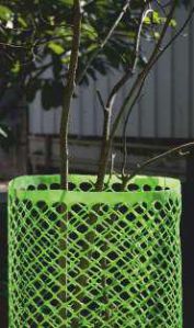 Indonet Tree Guard