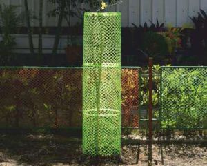 Indonet Tree Guard