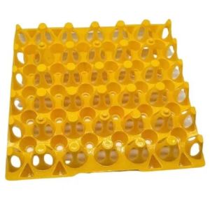 Layer Plastic Egg Tray