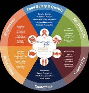 Quality Circle Certification