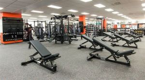 COMMERCIAL STRENGTH BENCH AND RACKS