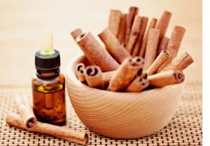 Cinnamon Bark Oil