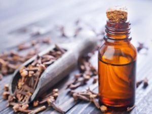 Clove Oil