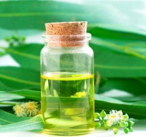 Eucalyptus Oil