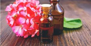 Geranium Oil