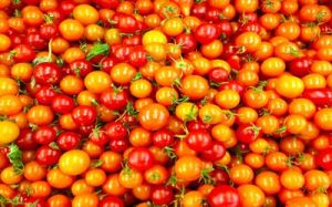 Golden Cherry Tomato