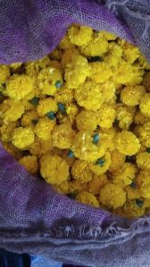 Chamanthi Flower
