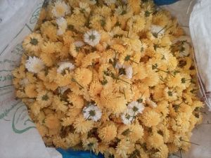 Chamanthi Flower