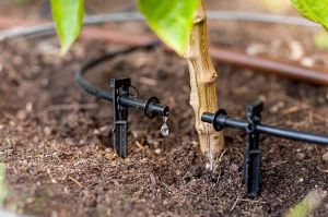 Drip Irrigation System