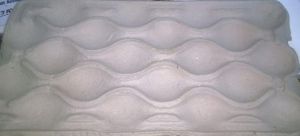 paper pulp tray