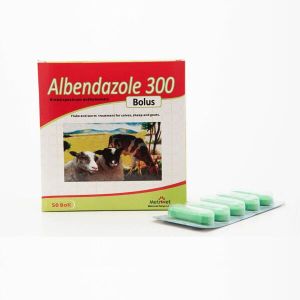 Albendazole 300 Mg Bolus