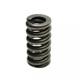 Inconel Springs