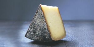 pecorino cheese