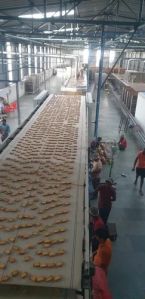 Biscuit Cooling Conveyors