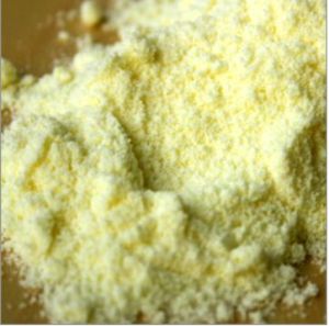 Whole Milk Powder