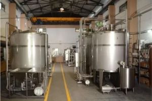 Fruit Syrup Processing Plant