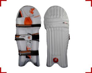 Cricket Batting Pads