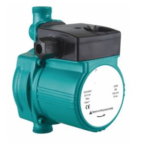 Circulating Pump