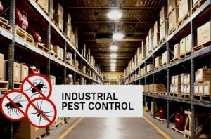 Industrial Pest Control Services