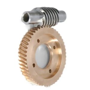 Worm Gear