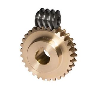 Worm Gear