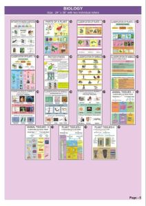 Biology Chart