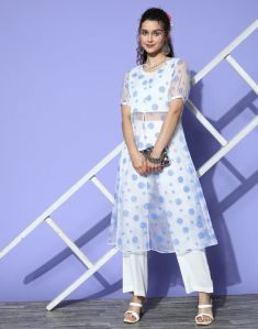 Organza kurta With Pant Set