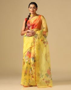 Organza Sequence Saree