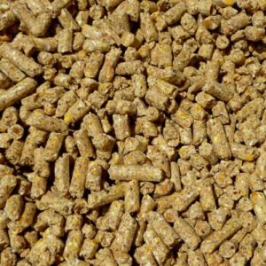 Balanced Cattle Feed Pellets