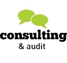 Consulting and Auditing Services