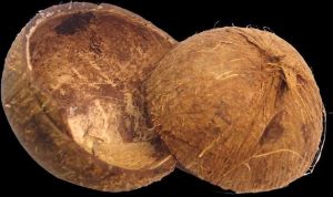 Coconut Shells