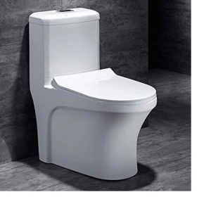 Ceramic Toilet Seat