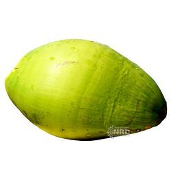 Green Coconut