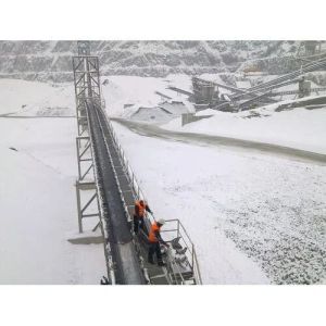 Cold Resistant Conveyor Belts