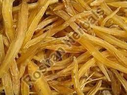 Yellow Shatavari Roots