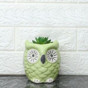 Ceramic Planters