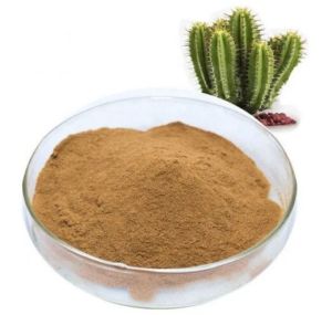 Brown Cactus Powder Extract