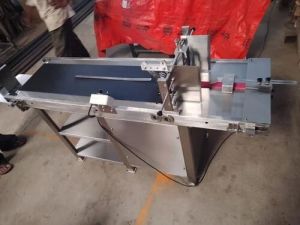 Carton Feeding Machine