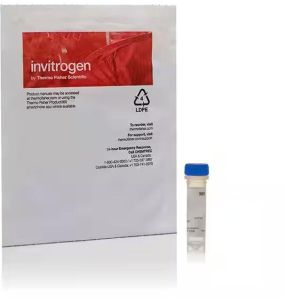 Invitrogen BODIPY 581/591 C11 (Lipid Peroxidation Sensor)