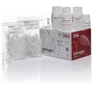 Invitrogen PureLink Quick Gel Extraction Kit