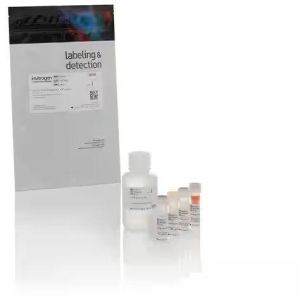 Invitrogen Qubit Protein and Protein Broad Range (BR) Assay Kits