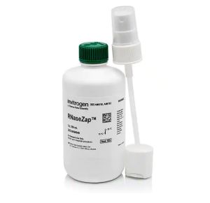 Invitrogen RNaseZap RNase Decontamination Solution