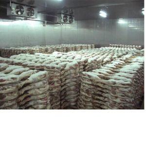 Fish Cold Storage