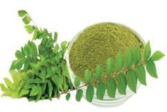 Dehydrated Curry Leaves Powder