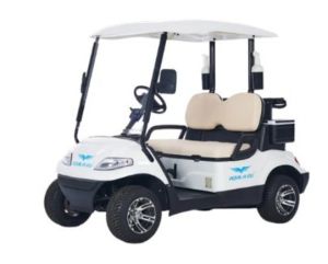 2 Seater White Electric Golf Cart