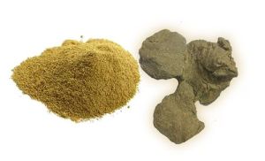 Moringa Seed Cake Powder